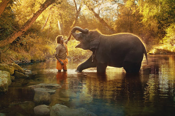Human & Nature Coexistence